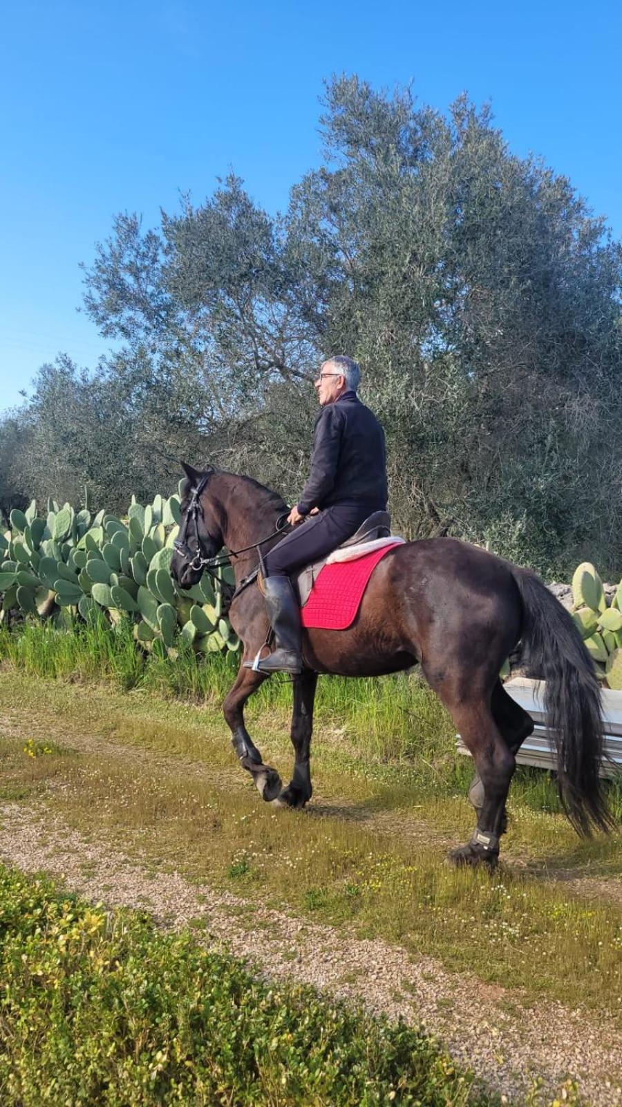 La Macchia Villa Botrugno Eksteriør billede